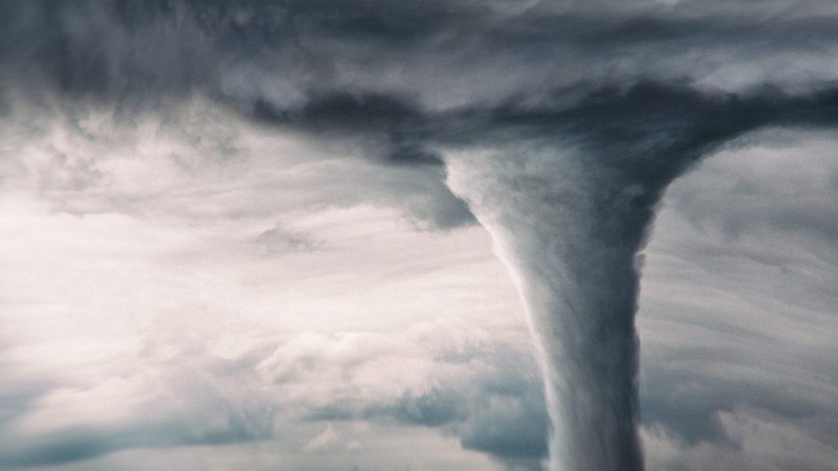 What to Do if There's a Tornado and You Aren't a Wimp