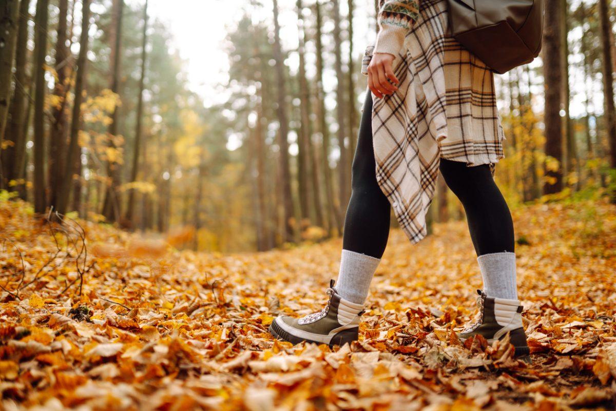 The October Travel Guide: Nashville’s Top Spots to Bag Your Dream Chick